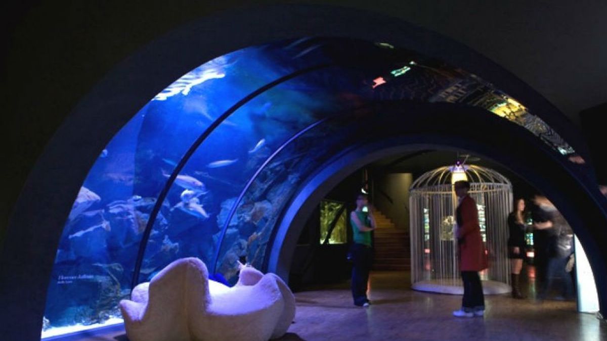   - Acquario Civico  a Milano