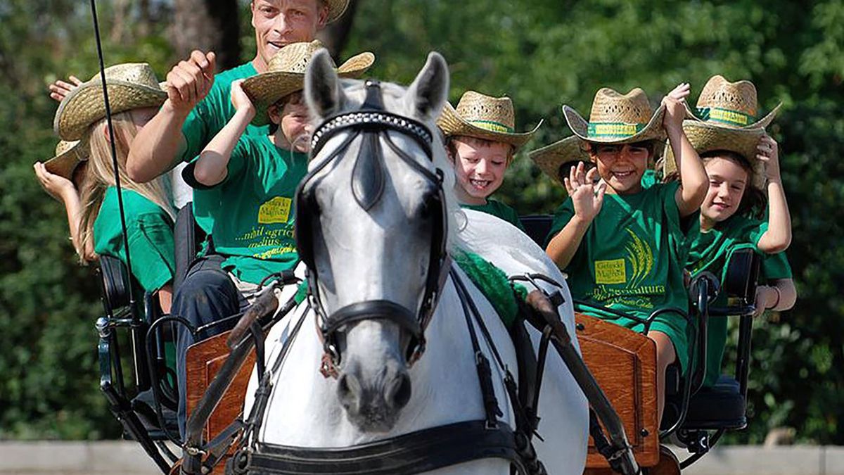   - Gelindo dei Magredi  a Vivaro