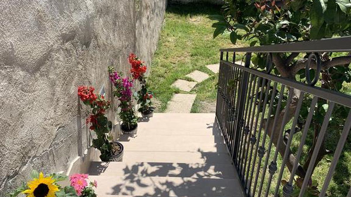   - Di Fiore B&B a Peschici