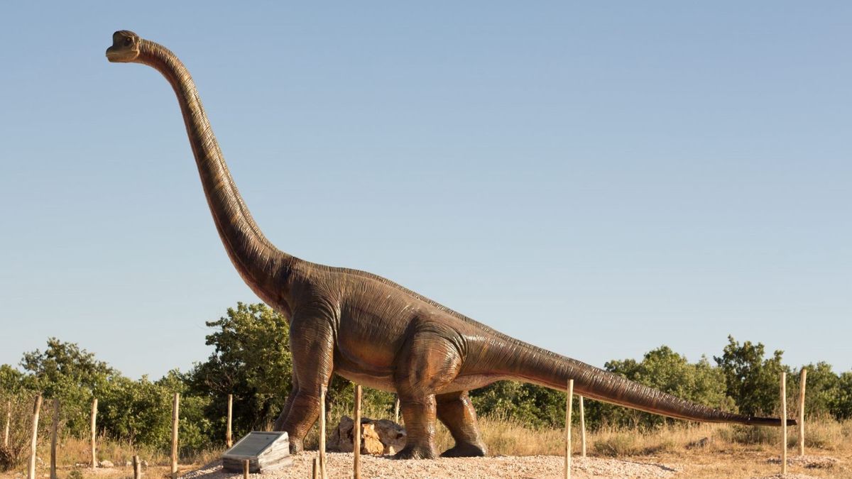   - Boscosauro Tenuta Sabini a Altamura