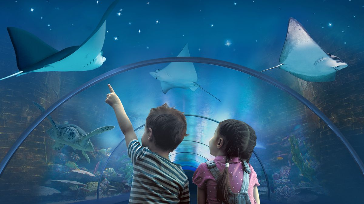   - Acquario di Livorno a Livorno 