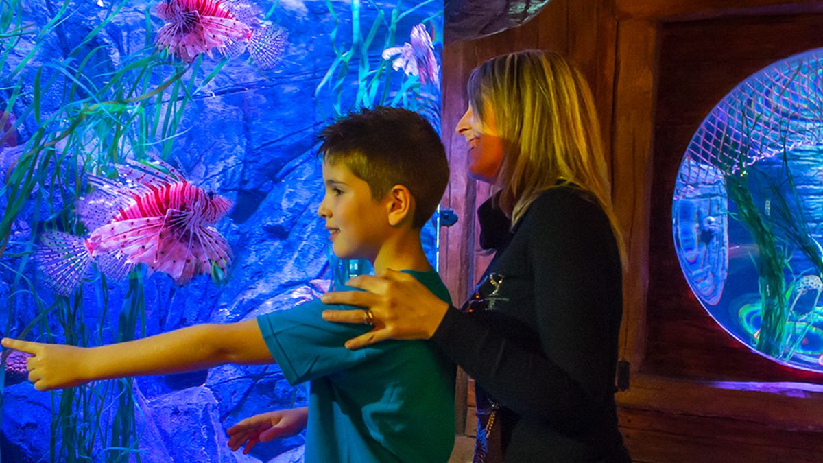   - Gardaland SEA LIFE Aquarium a Castelnuovo del Garda