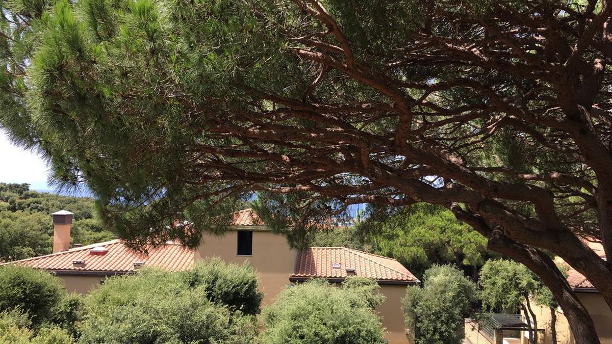   - Holiday Homes marina a castiglione della pescaia