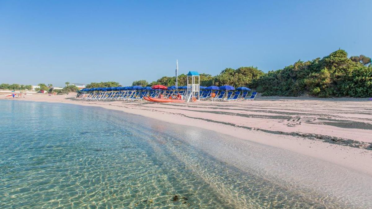   - Camping Torre Castiglione a Porto Cesareo
