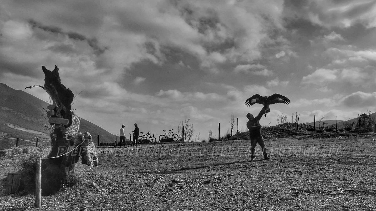   - Setteventi del Pollino a Comune