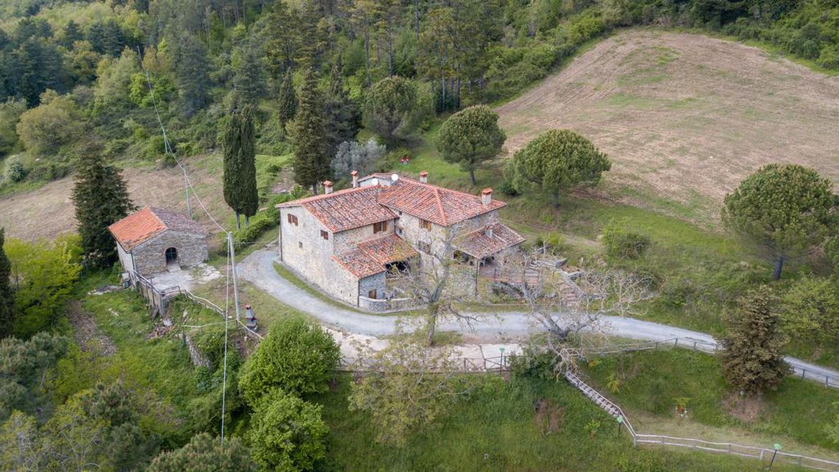   - Fattoria di Cintoia a PONTASSIEVE