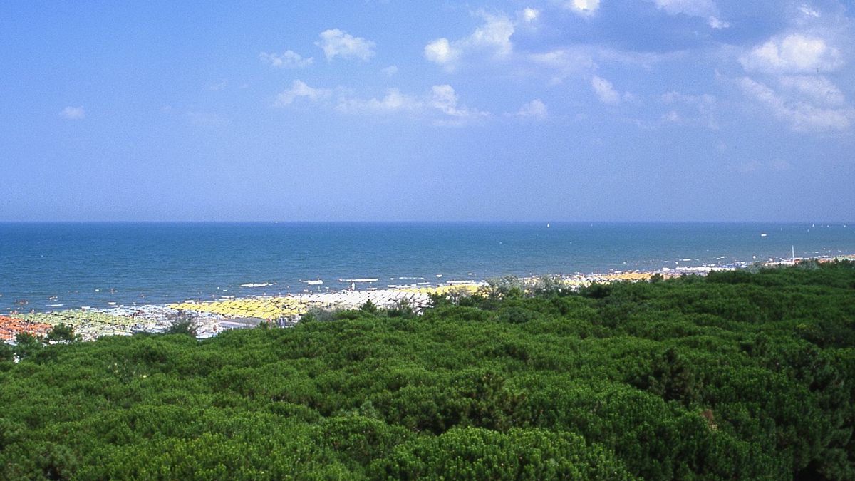  La spiaggia - Pinetina Mare Baby Family Hotel  a Pinarella di Cervia 