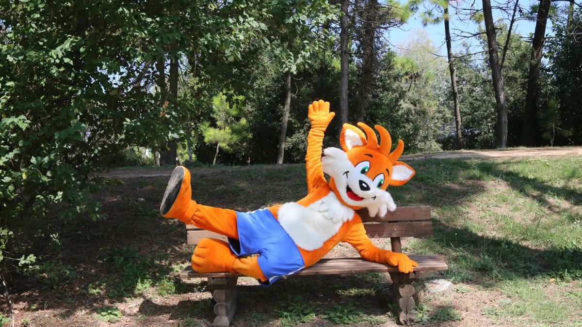  Gino la mascotte - Pinetina Mare Baby Family Hotel  a Pinarella di Cervia 