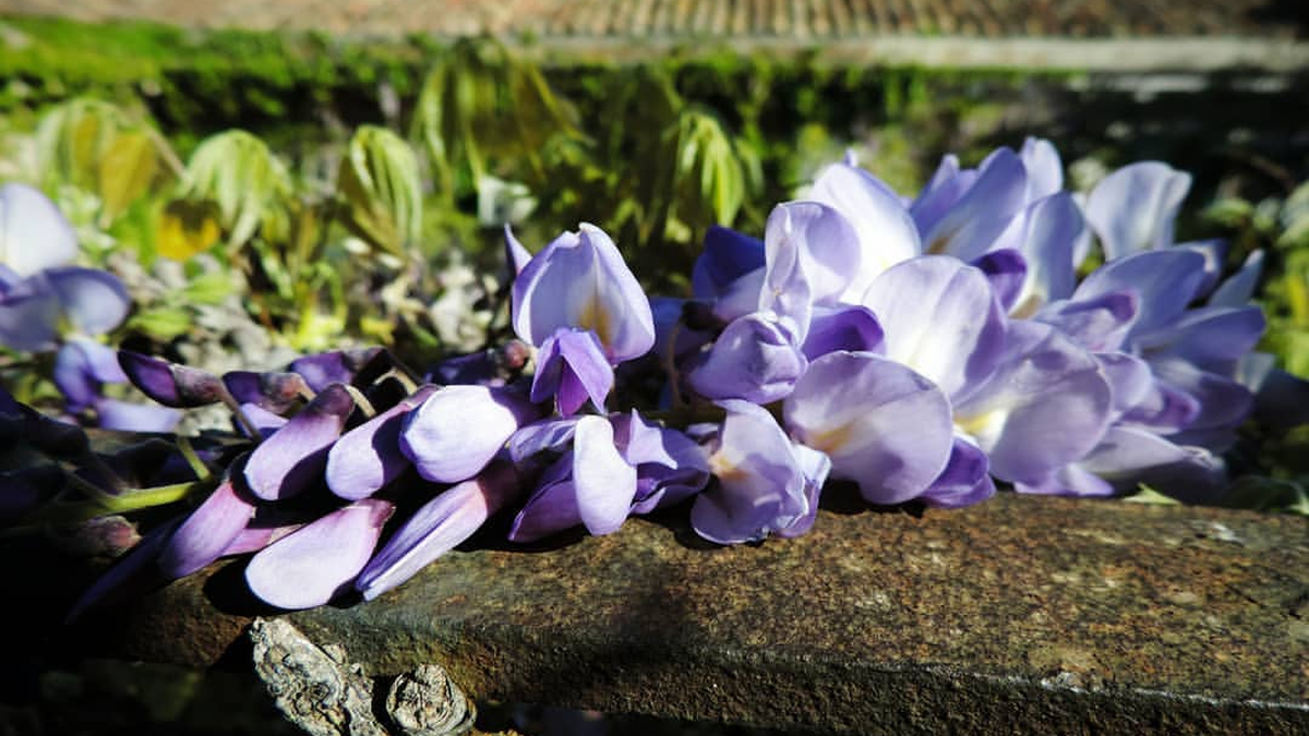   - Hotel Biscari a Catania