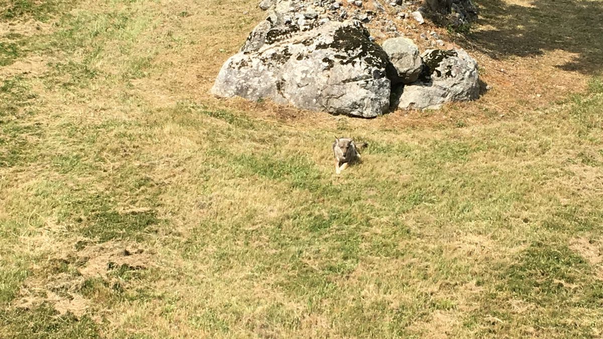   - Centro Visita Uomini e Lupi a Entraque