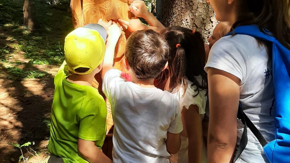   - Hotel Arcangelo a Pellizzano