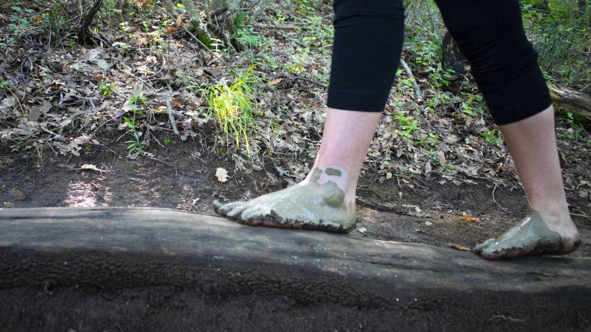   - Parco dei Cinque Sensi a Vitorchiano