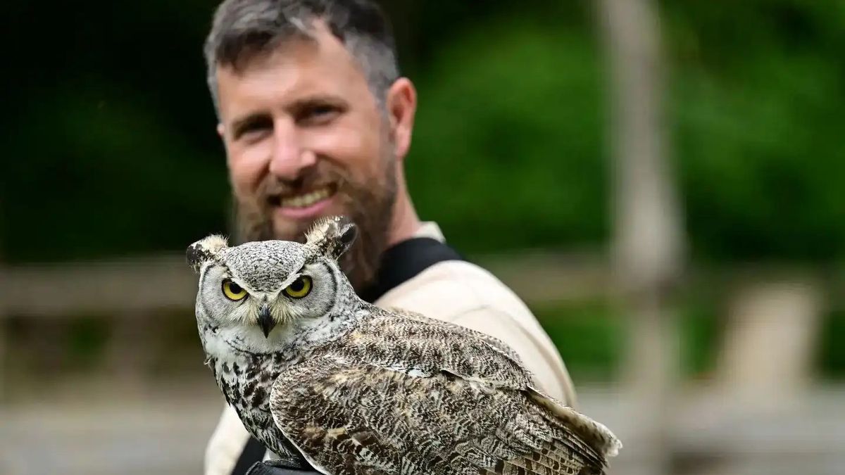   - Falconiere per un giorno a Sant