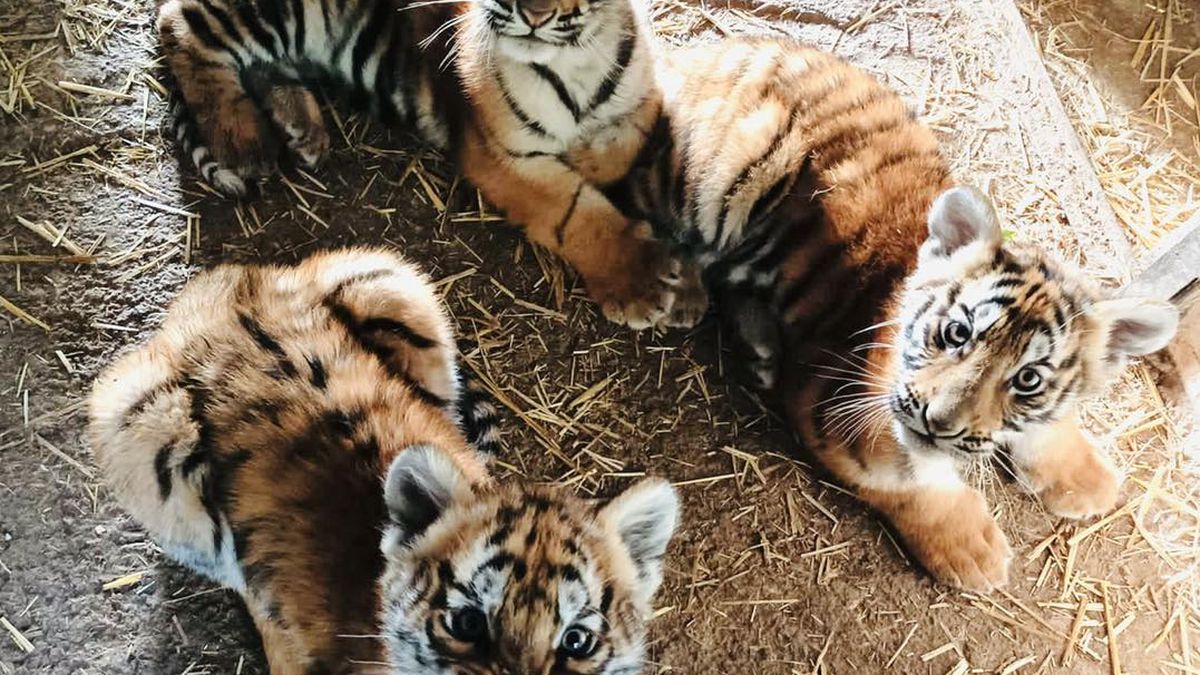   - Parco Safari delle Langhe a Murazzano 