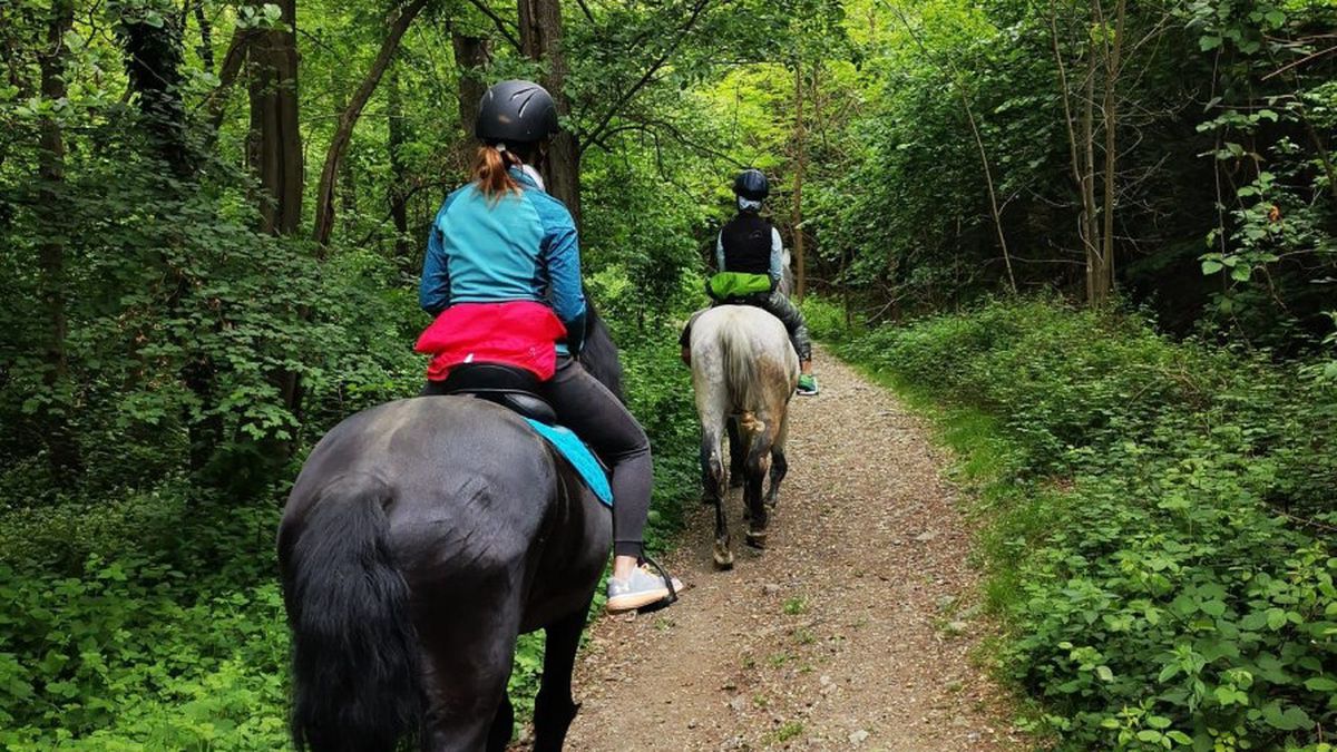   - Passeggiata a cavallo ad Ivrea a Ivrea