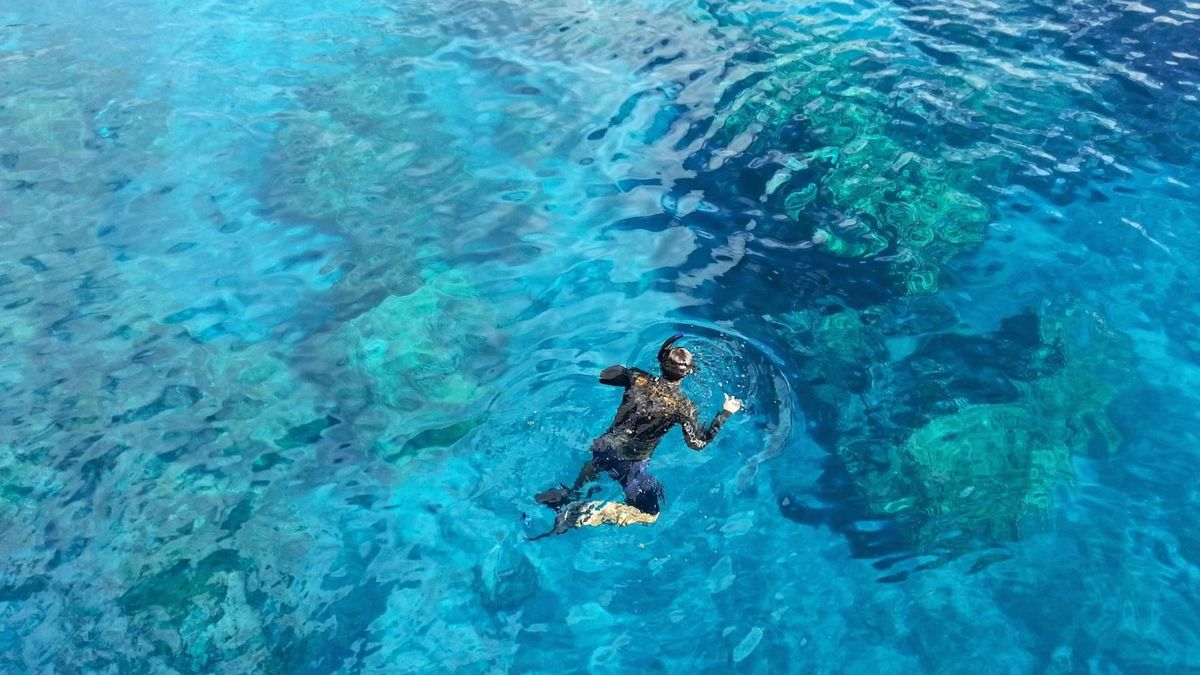   - Snorkeling tour all