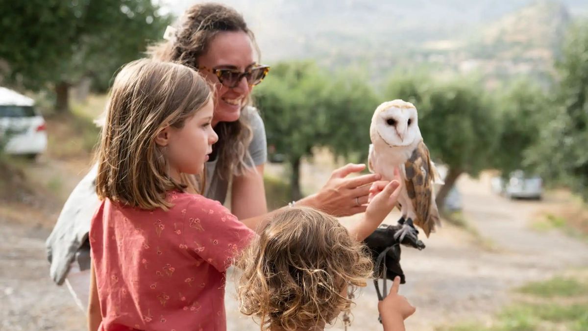   - Falconiere al parco del Pollino a Civita