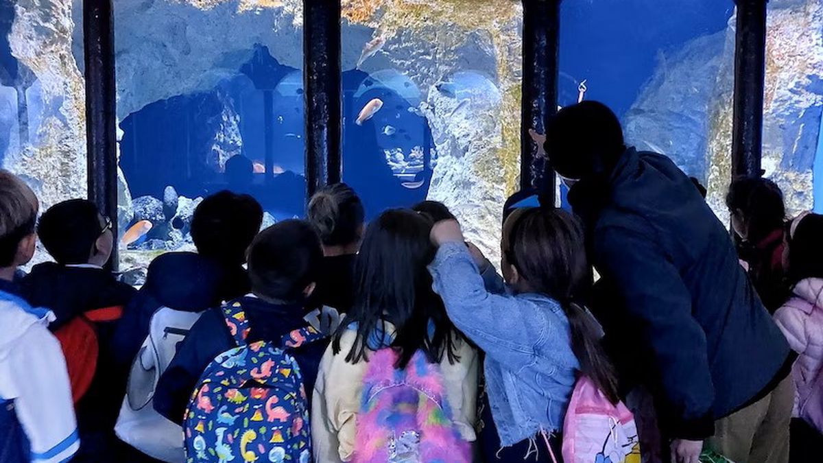   - Acquario di Napoli a Napoli