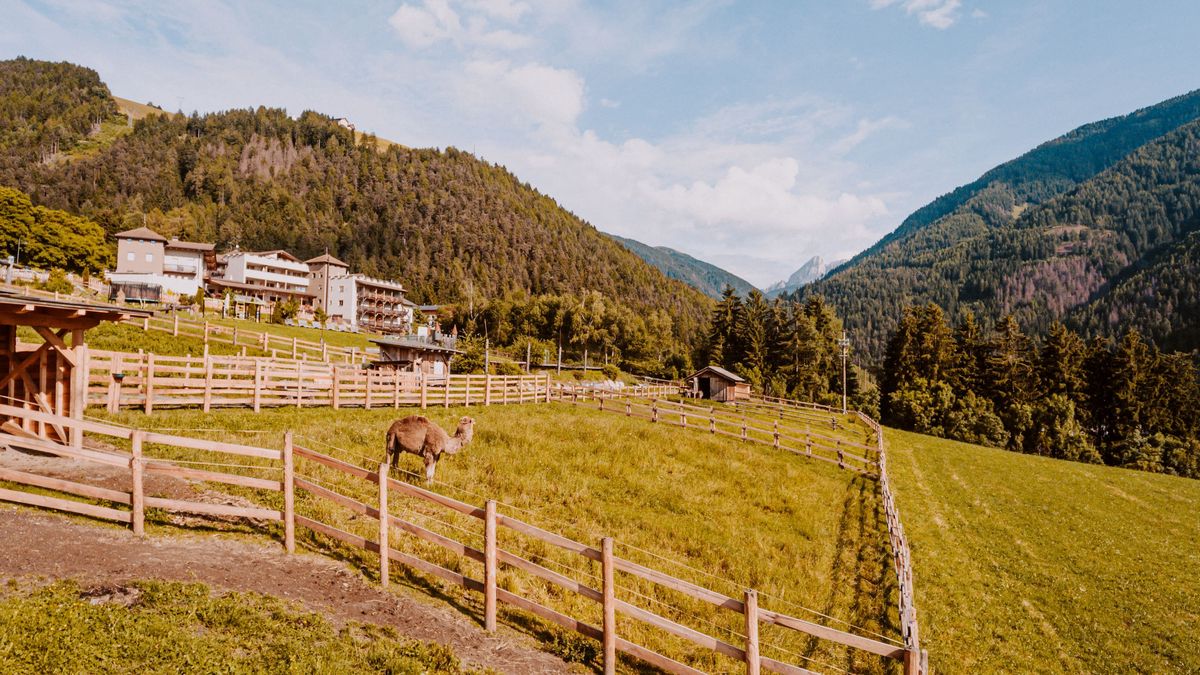   - Hotel Bergschlössl a Luson