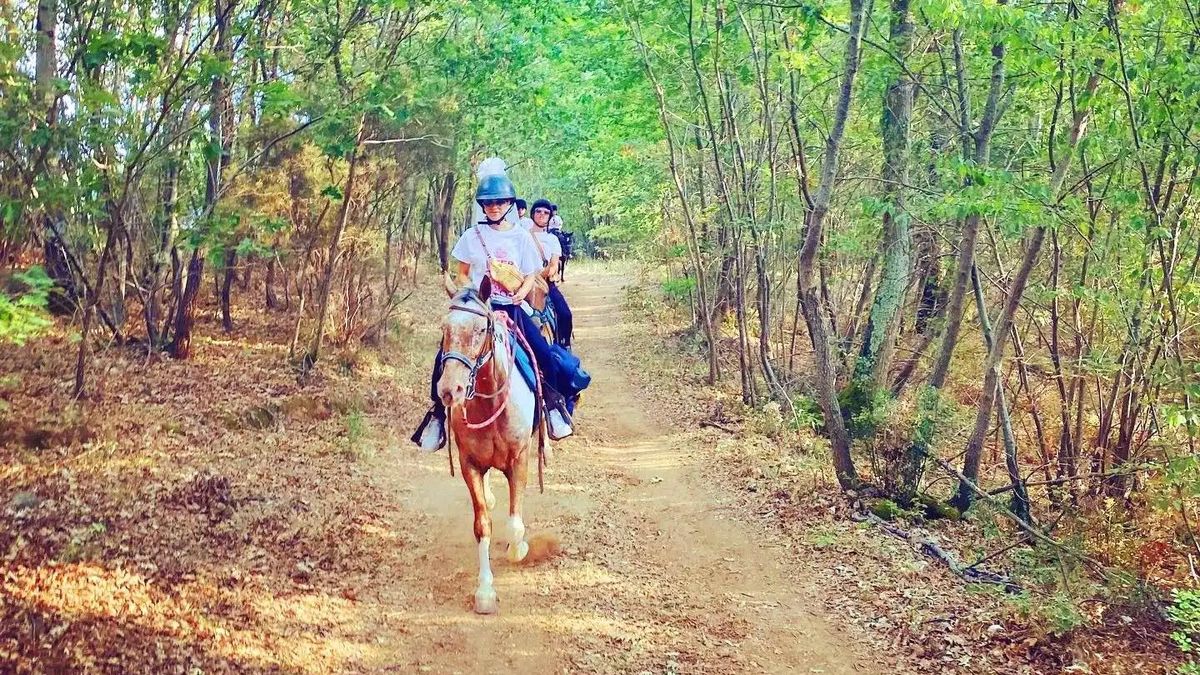   - Passeggiata a cavallo nei boschi a Manciano