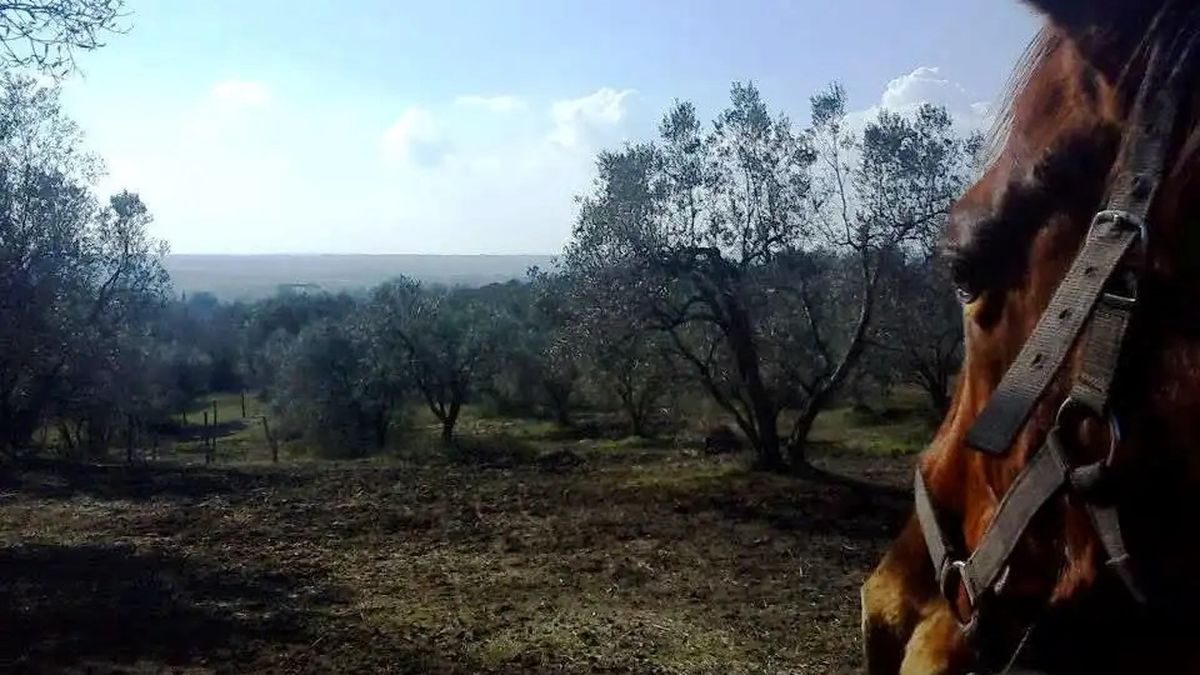   - Passeggiata a cavallo nel Parco di Veio a Campagnano di Roma