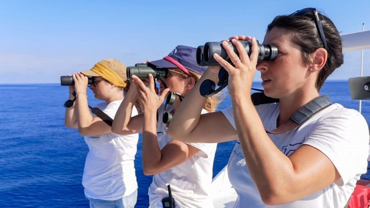   - Crociera di osservazione dei cetacei  a Genova
