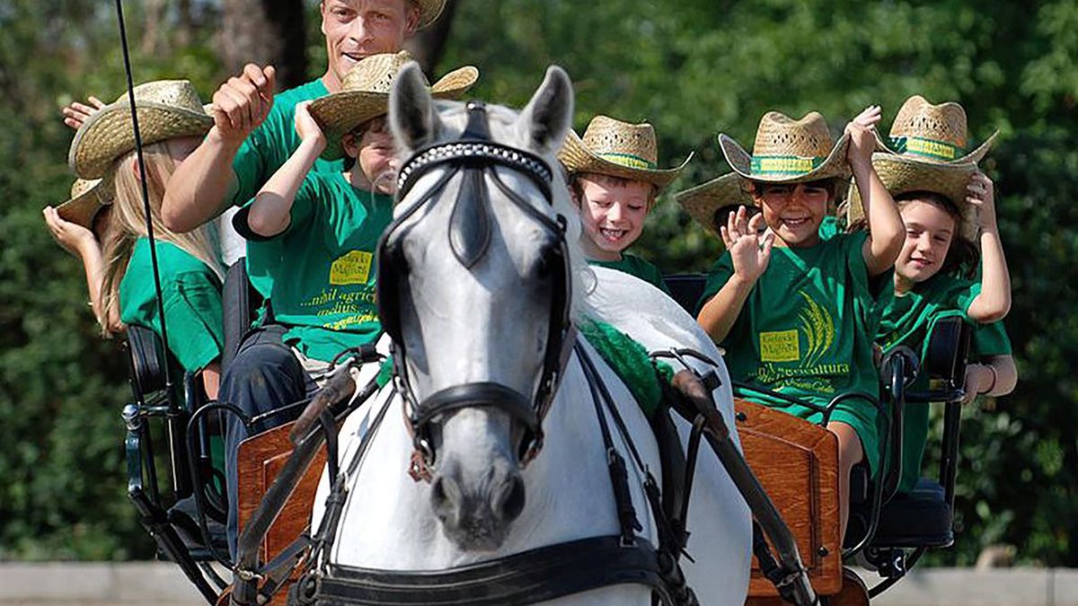   - Gelindo dei Magredi a Vivaro 