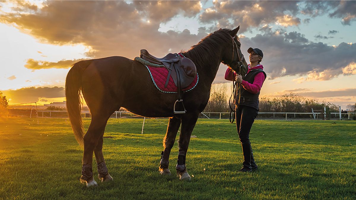   - Gelindo dei Magredi a Vivaro 