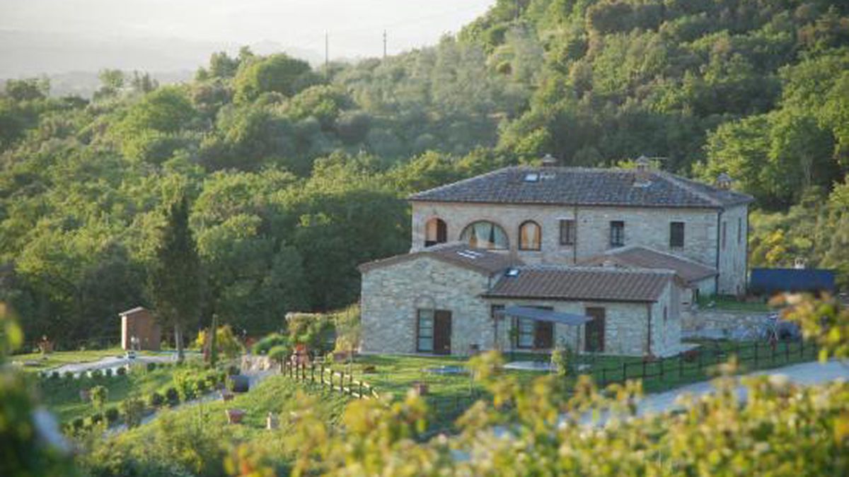  vista - Agriturismo Scannano  a Rapolano terme 