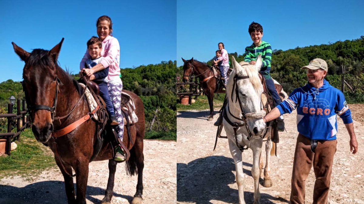  fattoria - Agriturismo Scannano  a Rapolano terme 