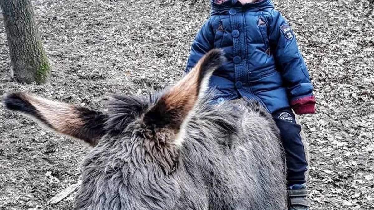   - Agriturismo Scannano  a Rapolano terme 