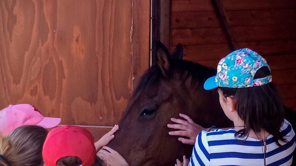   - Agriturismo Scannano  a Rapolano terme 