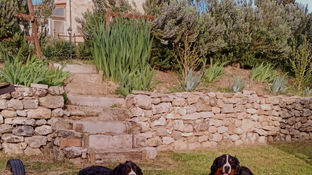  mia e cleo - Agriturismo Scannano  a Rapolano terme 