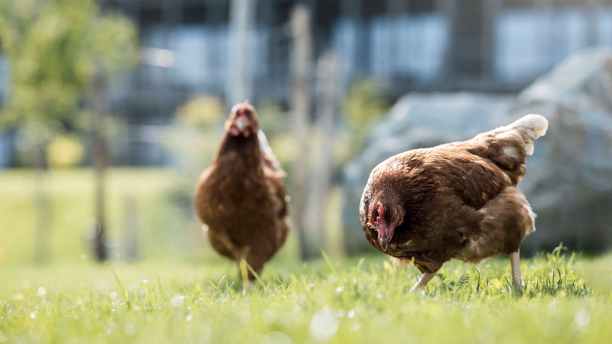   - AKI Family Resort PLOSE a Meluno