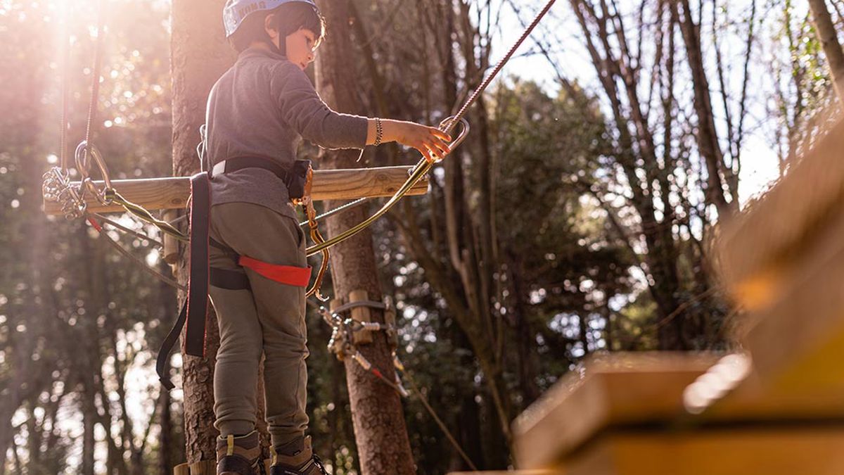   - Pesaro Avventura a Pesaro
