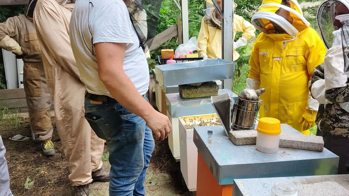   - Apicoltore per un giorno a Zibello San Giacomo