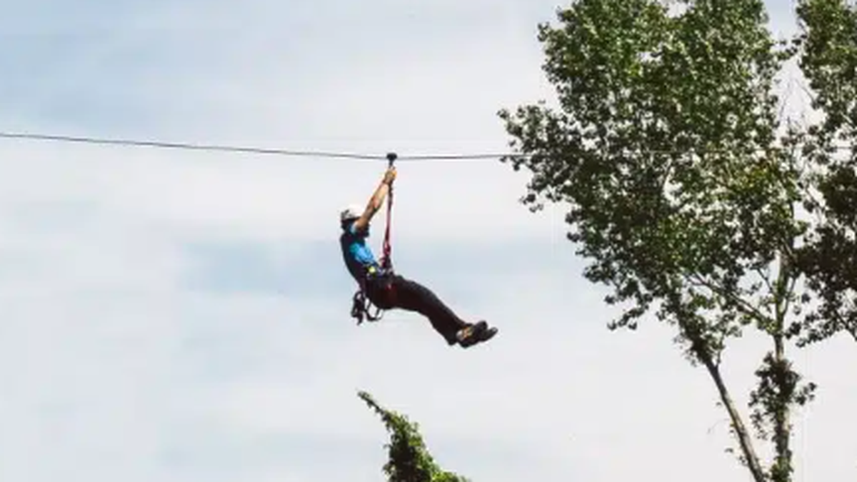   - Il Pineto Parco Avventura a Pisa