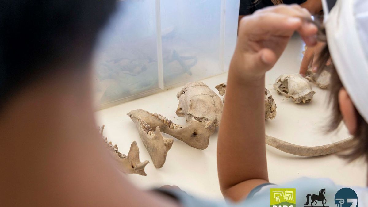   - Museo Parc e campus a Genoni