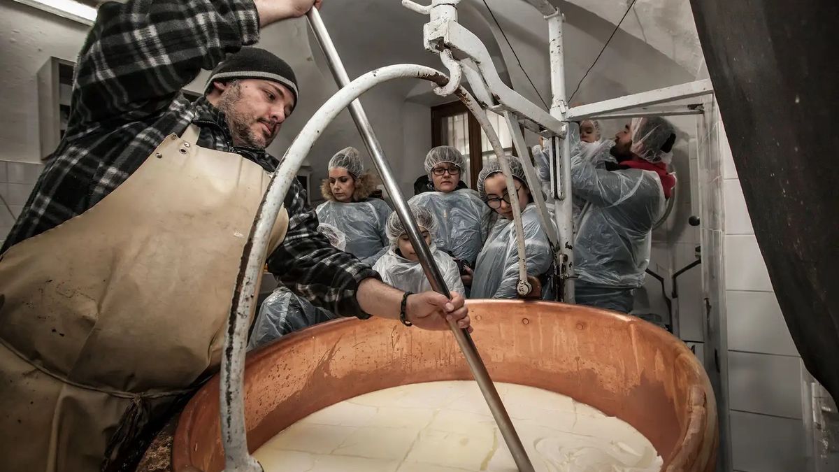   - Giornata in fattoria: dalla mungitura al formaggio a Baceno 