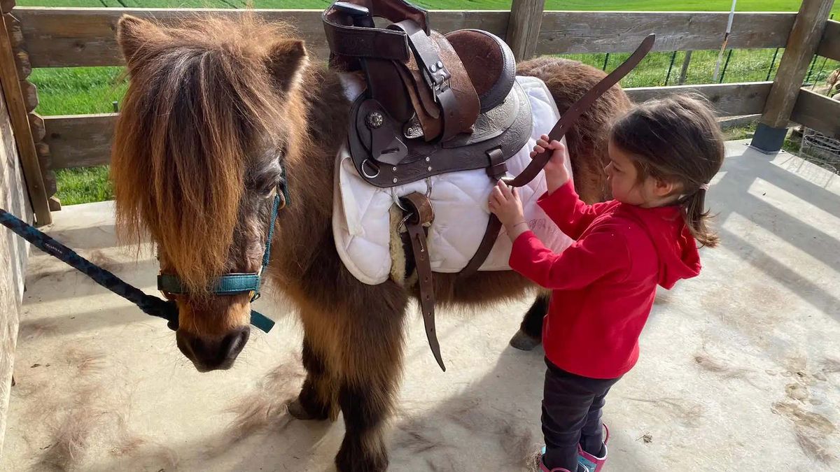   - Passeggiata sul pony per bambini a Brisighella