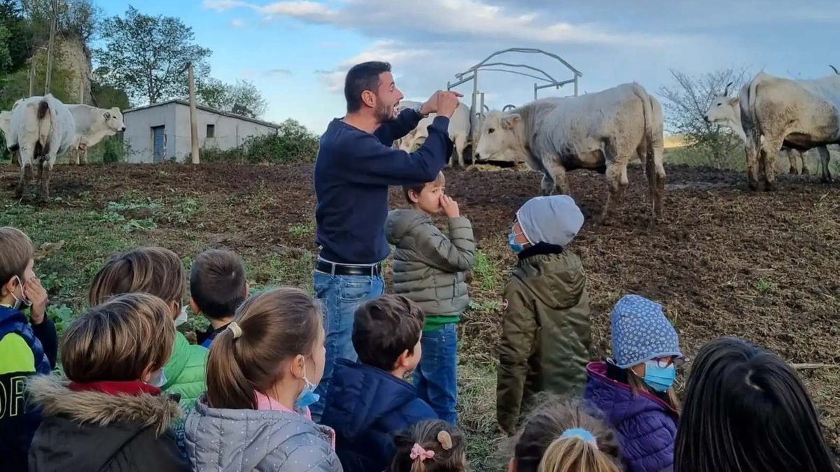   - Visita in fattoria e laboratorio di formaggio in Romagna a Mercato Saraceno