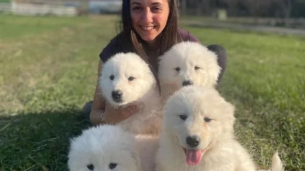   - BIOPARCO CINOFILO DEL PIEMONTE ORIENTALE a SAREZZANO