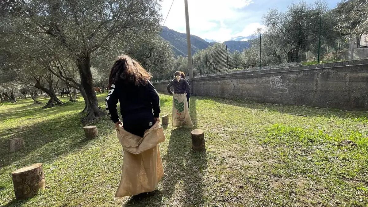   - Giro in Pony e Caccia al Tesoro in fattoria a Cisano sul neva 