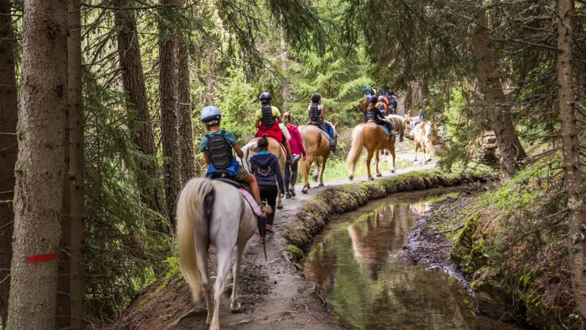   - Passeggiata a cavallo tra boschi e ruscelli in Val d’Ayas a Antagnod