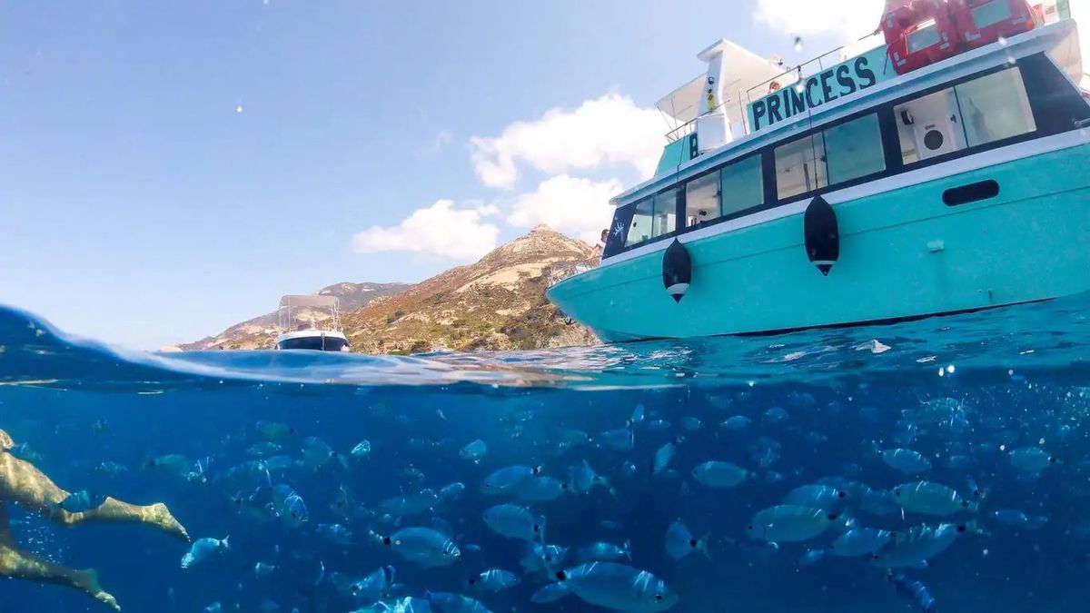   - Tour in motonave di Sant