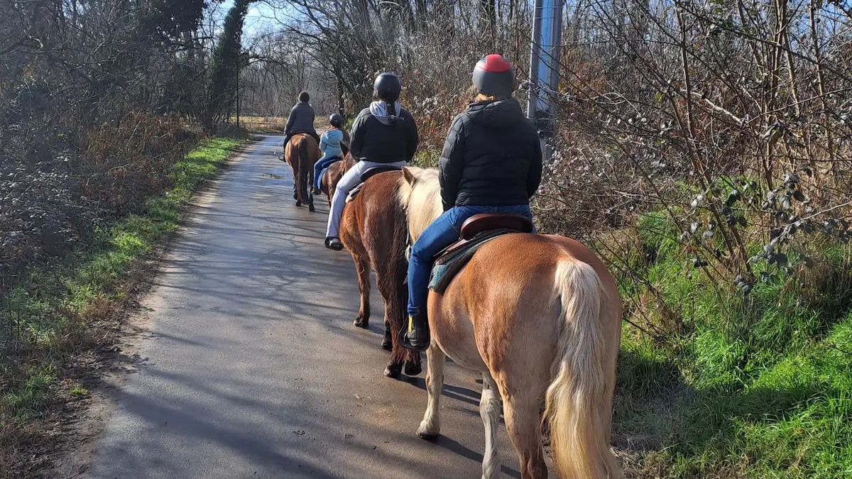  passeggiata-cavallo-milano - A cavallo nel parco del Ticino a Robecchetto Con Induno