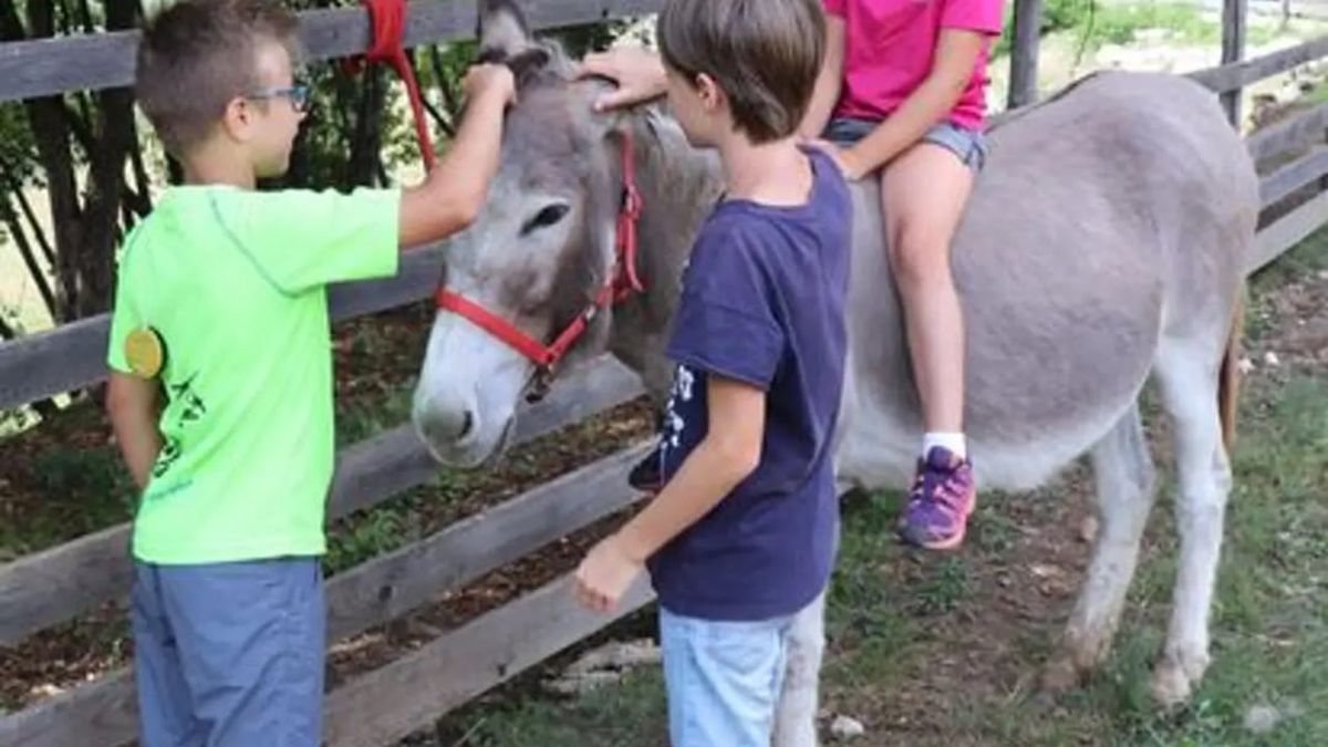   - Visita guidata per famiglie in una fattoria della Val Tiberina a Pieve Santo Stefano