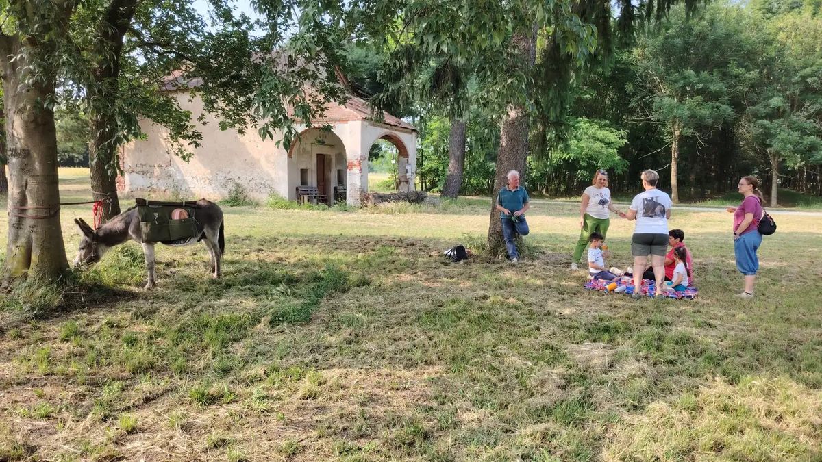   - Passeggiata con asinello vicino a Santhià a Borgo d