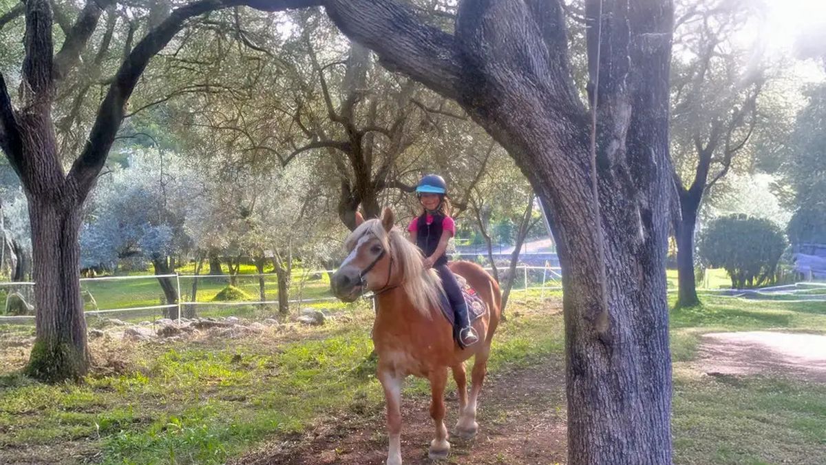   - Passeggiata a cavallo in uliveto vicino ad Albenga a Cisano sul Neva
