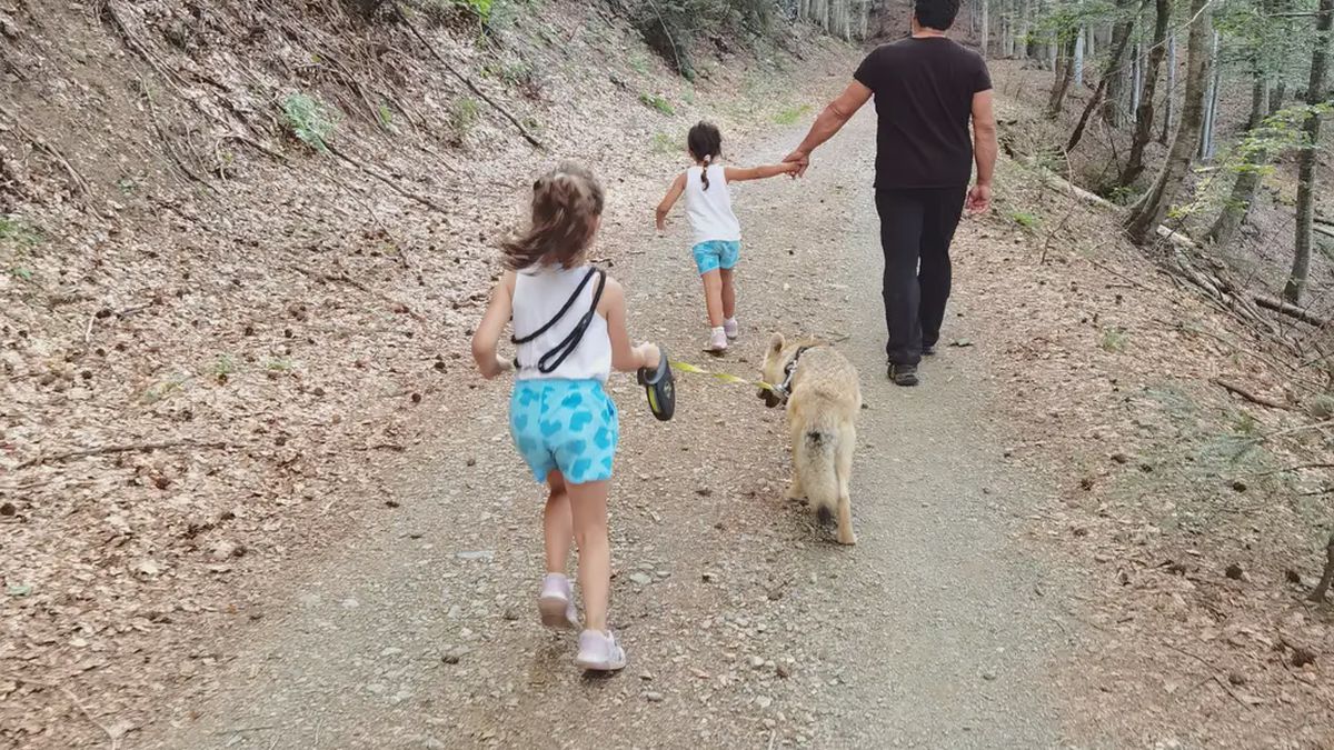   - Passeggiata con lupi a Bedonia